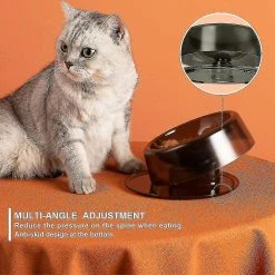 Unbranded Cat Dog 420ml, 022 Raised Nclined Cat Bowl 6 Unbranded Cat Dog 420ml, 022 Raised Nclined Cat Bowl -Pet Soin 792365076 max