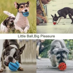 Unbranded Non-toxic Bite-resistant Natural Elastic Rubber Ball 2 Pack ,small And Medium Interactive Dog Toys ,pet Food Treatment Feederschewing [free Shipping] -Pet Soin 793900008 max