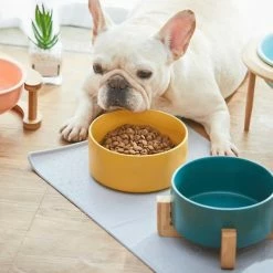 OEM Bol En Céramique Pet Food Water Bowl Dog Cat Ceramic Bowl Rose -Pet Soin 797402725 max