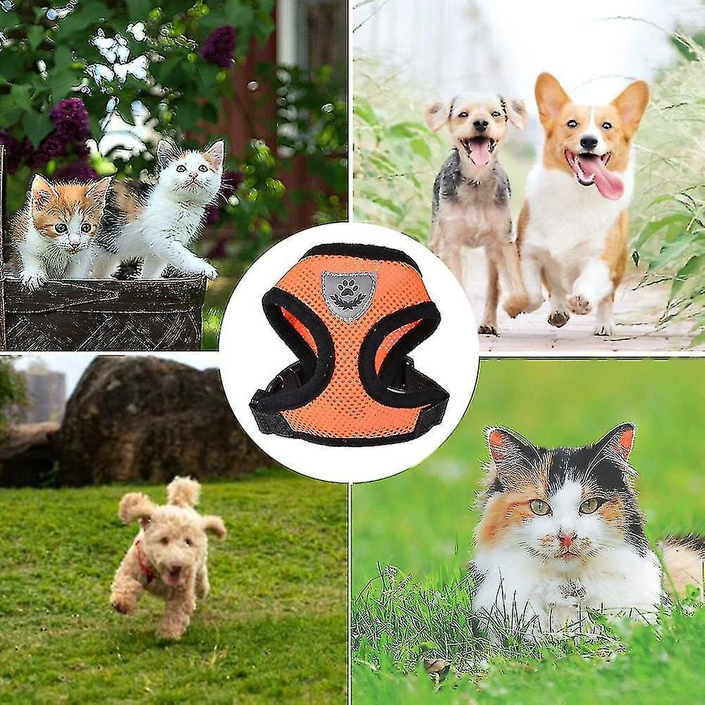 Unbranded Adjustable Reflective Cat Harness Vest Walking Straps For Cat Kitten Dog Puppy Leash Leads Pet Chest Harness K0023 1 Unbranded Adjustable Reflective Cat Harness Vest Walking Straps For Cat Kitten Dog Puppy Leash Leads Pet Chest Harness K0023