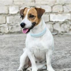 Gegong 2pcs Artificial Leather Pet Adjustable Collar With Rhinestone Decor For Small Dog Cat Blue 7 Gegong 2pcs Artificial Leather Pet Adjustable Collar With Rhinestone Decor For Small Dog Cat Blue -Pet Soin 799616785 max