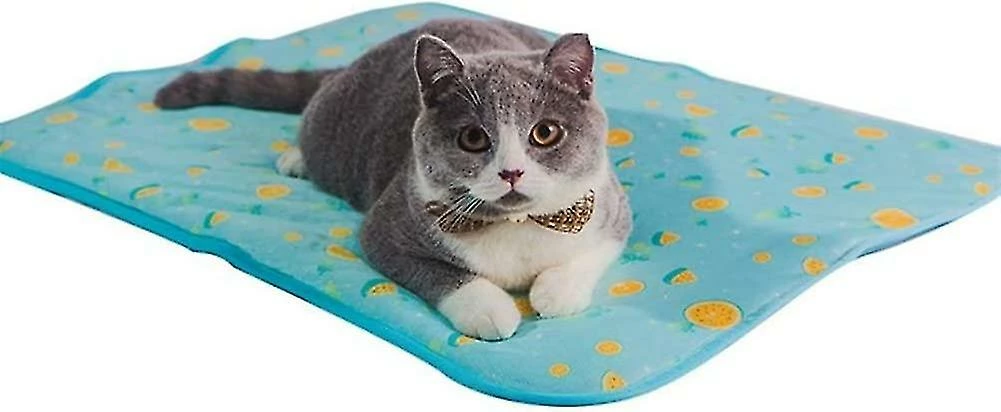Unbranded Zongha Cat Cooling Mat Cool Cooling Mat Dog Cooling Mat Dog Mat Rabbit Cooling Mat Dog Mat Blue,s,11 1 Unbranded Zongha Cat Cooling Mat Cool Cooling Mat Dog Cooling Mat Dog Mat Rabbit Cooling Mat Dog Mat Blue,s,11