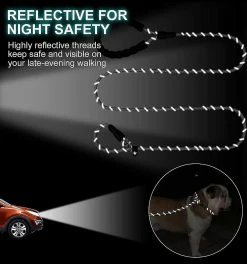 Unbranded Reflective Slip Lead Dog Leash, Climbing Rope Leash,11 9 Unbranded Reflective Slip Lead Dog Leash, Climbing Rope Leash,11 -Pet Soin 803641668 max