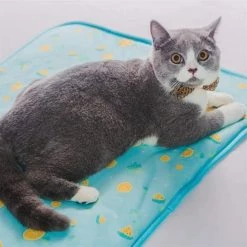 Unbranded Zongha Cat Cooling Mat Cool Cooling Mat Dog Cooling Mat Dog Mat Rabbit Cooling Mat Dog Mat Blue,s,11 9 Unbranded Zongha Cat Cooling Mat Cool Cooling Mat Dog Cooling Mat Dog Mat Rabbit Cooling Mat Dog Mat Blue,s,11 -Pet Soin 803641787 max