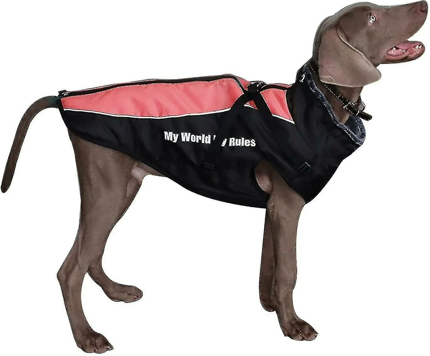 Unbranded Vêtements Pour Grands Chiens Imperméables Big Dog Vest Jacket Automne Hiver Chaud Pet Dog Coat * Stb 1 Unbranded Vêtements Pour Grands Chiens Imperméables Big Dog Vest Jacket Automne Hiver Chaud Pet Dog Coat * Stb