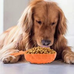 Alisili Pet Large Dog Feeding Bowls Slow Food Feeder Fruit Shaped Dog Feeder Bowl Food Feeder Dog Rice Bowl Pet Supplies -Pet Soin 811141363 max