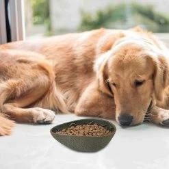 Alisili Pet Large Dog Feeding Bowls Slow Food Feeder Fruit Shaped Dog Feeder Bowl Food Feeder Dog Rice Bowl Pet Supplies -Pet Soin 811141388 max