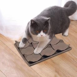 Alisili Pet Lick Foldable Silicone Mat For Dogs Pet Slow Food Plate Dog Snuffle Silicone Dog Sucker Food Training Dog Feeder Supplies 8 Alisili Pet Lick Foldable Silicone Mat For Dogs Pet Slow Food Plate Dog Snuffle Silicone Dog Sucker Food Training Dog Feeder Supplies -Pet Soin 811142005 max