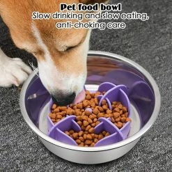 Alisili Pet Dog Bowl Dog Slow Feeder Bowl Puppy Cat Slow Eating Dish Bowl Feeding Dog Cat Food Bowl Pet Supplies Anti-gulping Food Plat 8 Alisili Pet Dog Bowl Dog Slow Feeder Bowl Puppy Cat Slow Eating Dish Bowl Feeding Dog Cat Food Bowl Pet Supplies Anti-gulping Food Plat -Pet Soin 811142042 max
