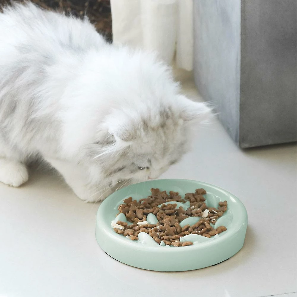 Alisili Pet Cat Dog Bowl Anti-choke Food Plate Pet Slow Food Bowl For Medium Small Cats Dogs Puppy Feeder 2 Alisili Pet Cat Dog Bowl Anti-choke Food Plate Pet Slow Food Bowl For Medium Small Cats Dogs Puppy Feeder – Image 2