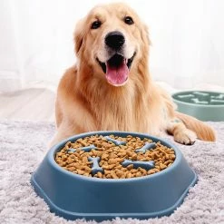 Alisili Pet Dog Bowl Dog Slow Feeder Bowl Puppy Cat Slow Eating Dish Bowl Anti-gulping Food Plate Feeding Dog Cat Food Bowl Pet Supplies -Pet Soin 811142369 max