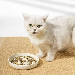 Alisili Cat And Dog Slow Food Bowl Health Choke Prevention Cat Bowl Cloth Puppet Slow Food Bowl Dog Bowl Pet Supplies Cross Border -Pet Soin 811142441 max