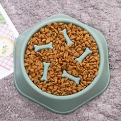 Alisili Anti Choking Pet Feeding Food Bowls Slow Feeder Pp Plastic Dish Bowl Home Dog Eating Plate Anti Gulping Bowl Pet Eat Supplies -Pet Soin 811142558 max