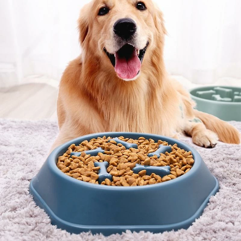 Alisili Pet Feeding Food Bowls Anti Choking Slow Feeder Pp Plastic Dish Bowl Home Dog Eating Plate Anti Gulping Bowl Pet Eat Supplies 2 Alisili Pet Feeding Food Bowls Anti Choking Slow Feeder Pp Plastic Dish Bowl Home Dog Eating Plate Anti Gulping Bowl Pet Eat Supplies – Image 2