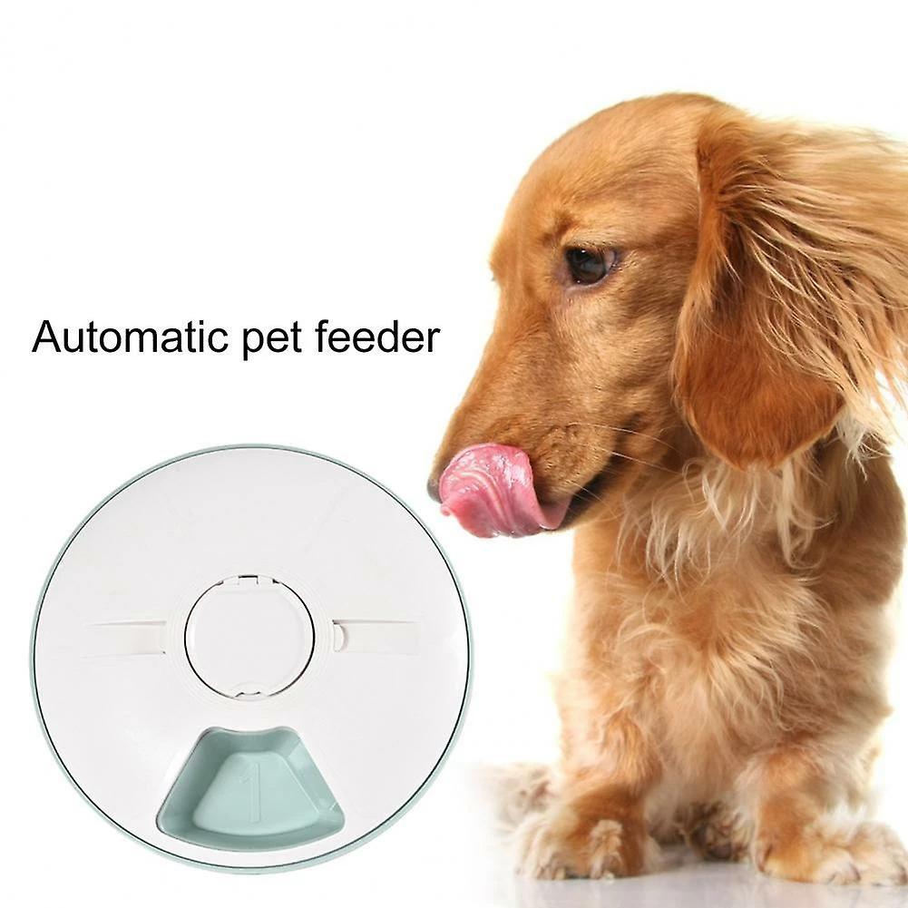 Alisili Practical Pet Feeder Bpa Free Cat Food Feeder Automatic Dog Cat Rabbit Puppy Tray Dry Wet Food Bowl Multi-purpose 2 Alisili Practical Pet Feeder Bpa Free Cat Food Feeder Automatic Dog Cat Rabbit Puppy Tray Dry Wet Food Bowl Multi-purpose – Image 2