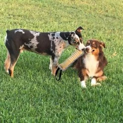 Unbranded Dog Jute Toy Dog Tug Toy Durable Dog Sleeve Stick Equipment For To Lar Dogs Interactive Play 5 Unbranded Dog Jute Toy Dog Tug Toy Durable Dog Sleeve Stick Equipment For To Lar Dogs Interactive Play -Pet Soin 812057607 max