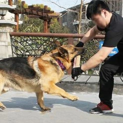 Unbranded Dog Jute Toy Dog Tug Toy Durable Dog Sleeve Stick Equipment For To Lar Dogs Interactive Play 6 Unbranded Dog Jute Toy Dog Tug Toy Durable Dog Sleeve Stick Equipment For To Lar Dogs Interactive Play -Pet Soin 812057694 max