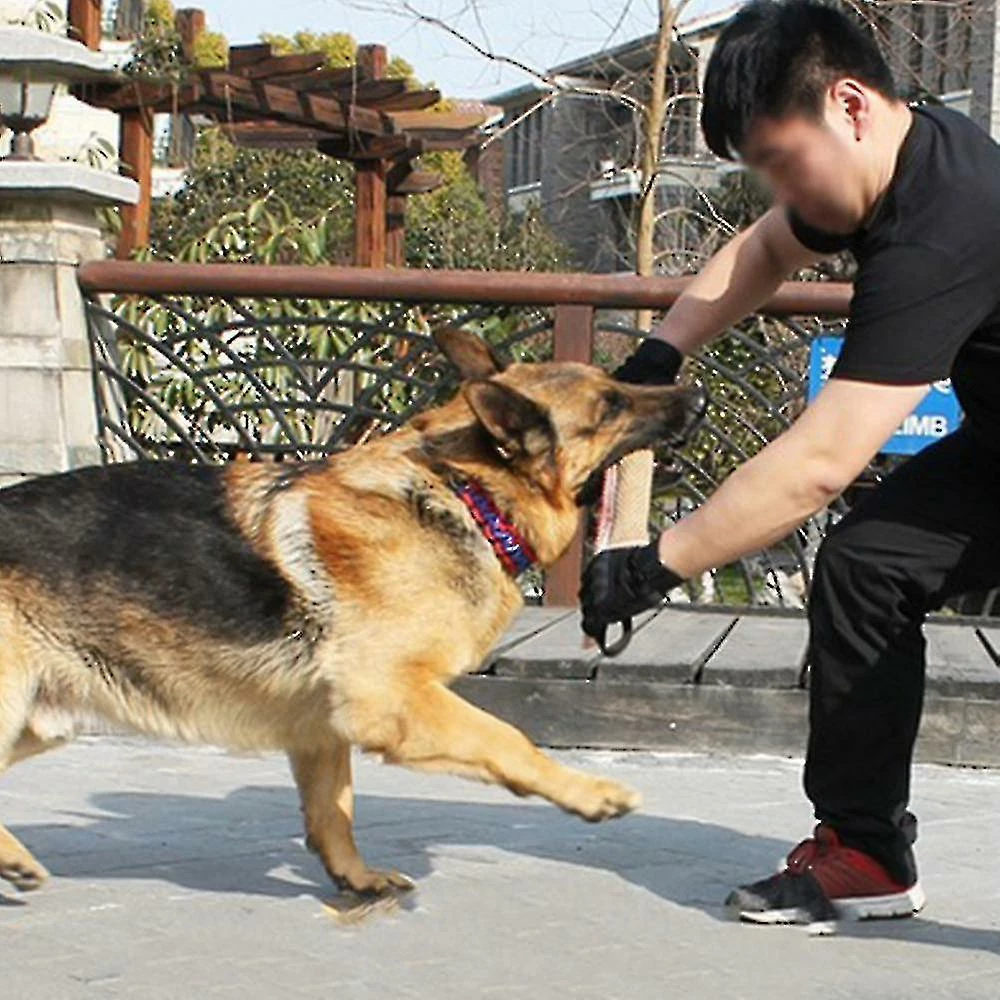 Unbranded Dog Jute Toy Dog Tug Toy Durable Dog Sleeve Stick Equipment For To Lar Dogs Interactive Play 3 Unbranded Dog Jute Toy Dog Tug Toy Durable Dog Sleeve Stick Equipment For To Lar Dogs Interactive Play – Image 3