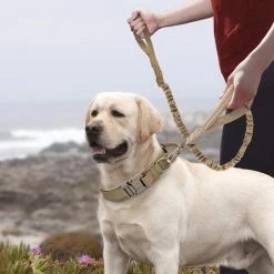 Unbranded Farfi Pet Belt Wear Resistant Shock Absorption Tightly Dog Collar Leash Medium Large Lead Rope For Outdoor -Pet Soin 814236915 max