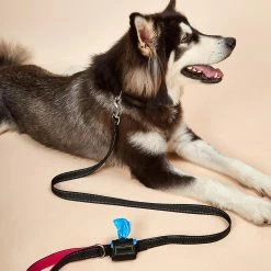 Unbranded Farfi Pet Leash Stable Sincasproof Nylon Outdoors Two Handles Dog Puppy Leash Household Supplies -Pet Soin 814240038 max