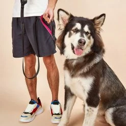 Unbranded Farfi Pet Leash Stable Sincasproof Nylon Outdoors Two Handles Dog Puppy Leash Household Supplies -Pet Soin 814240396 max