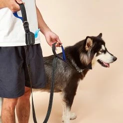 Unbranded Farfi Pet Leash Stable Sincasproof Nylon Outdoors Two Handles Dog Puppy Leash Household Supplies -Pet Soin 814240586 max