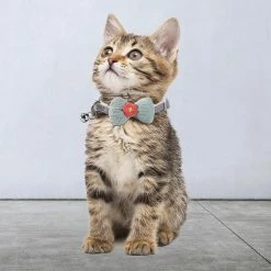 Unbranded Farfi Kitten Collar Lovely Bow Decor Daily Dress Up Neck Jewelry Pet Neck Accessory Small Dog Collar Avec Bell For Party -Pet Soin 814241767 max