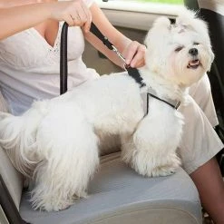 Unbranded Farfi Pet Belt Attaché Absorption Des Chocs Tightly Highly Reflective Heavy Duty Dog Leash Pour L’extérieur -Pet Soin 814245112 max