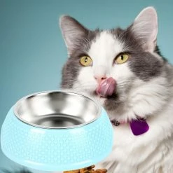 Unbranded Farfi 1 Set Cat Feeder Heart Style Antidérapant Facile à Nettoyer Dog Food Feeder Bowl Pour Kitty -Pet Soin 814245493 max