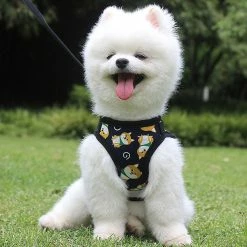 Unbranded Farfi Cartoon Impression Cat Dog Harness Traction Walking Rope Vest Gilet Strap Pet Supplies 7 Unbranded Farfi Cartoon Impression Cat Dog Harness Traction Walking Rope Vest Gilet Strap Pet Supplies -Pet Soin 814246310 max