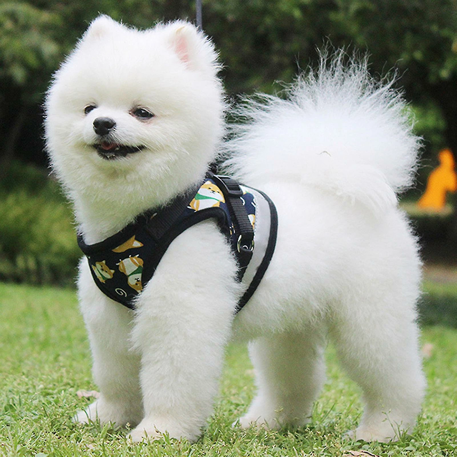 Unbranded Farfi Cartoon Impression Cat Dog Harness Traction Walking Rope Vest Gilet Strap Pet Supplies 4 Unbranded Farfi Cartoon Impression Cat Dog Harness Traction Walking Rope Vest Gilet Strap Pet Supplies – Image 4