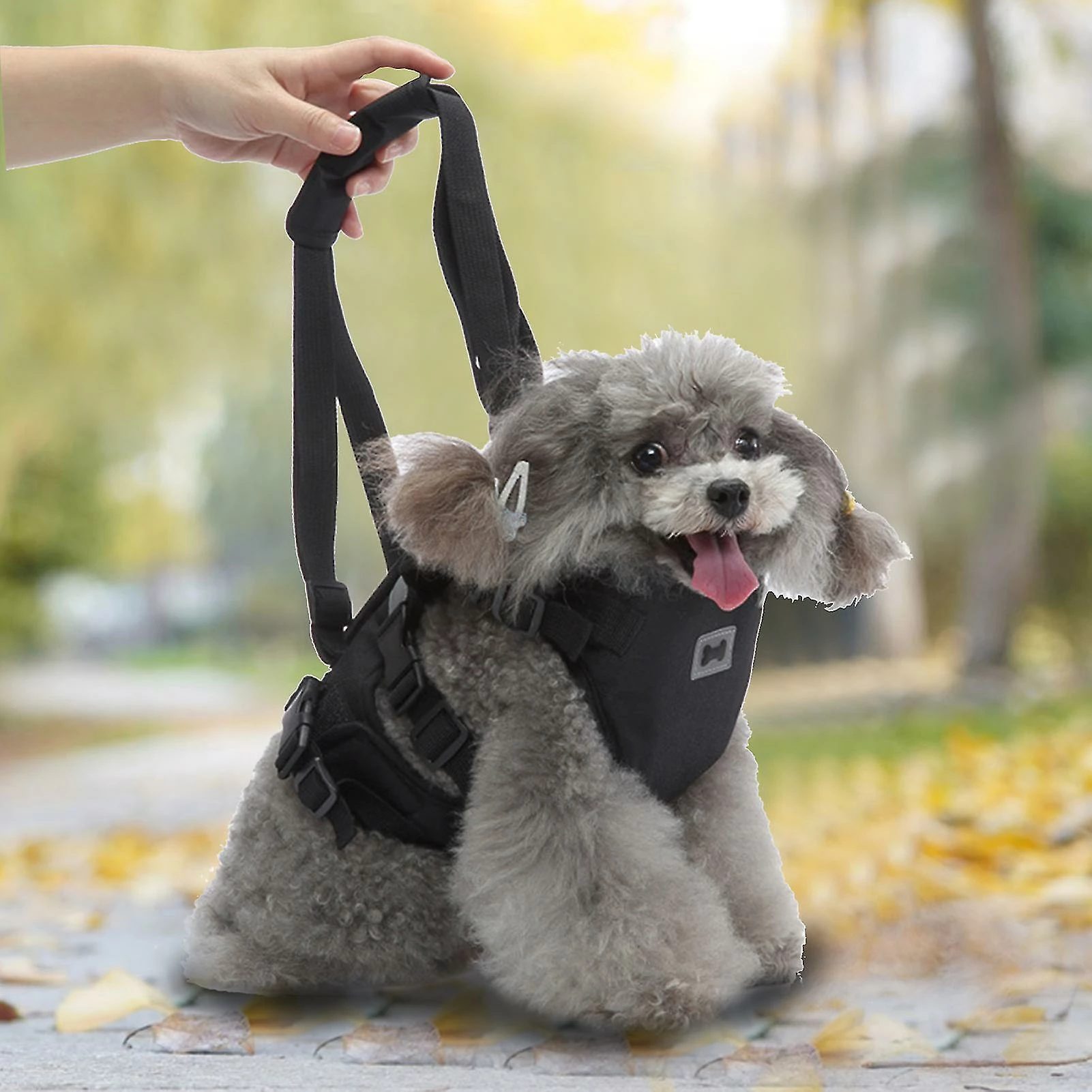 Unbranded Farfi Pet Harness Main Portant Antidéflagrant Strong Bearing Pull Réglable Naughty Dog Vest Safety Leash Pour Park 2 Unbranded Farfi Pet Harness Main Portant Antidéflagrant Strong Bearing Pull Réglable Naughty Dog Vest Safety Leash Pour Park – Image 2