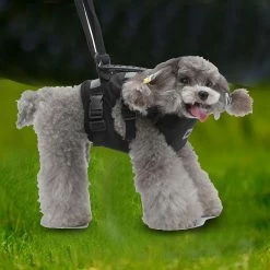 Unbranded Farfi Pet Harness Main Portant Antidéflagrant Strong Bearing Pull Réglable Naughty Dog Vest Safety Leash Pour Park 8 Unbranded Farfi Pet Harness Main Portant Antidéflagrant Strong Bearing Pull Réglable Naughty Dog Vest Safety Leash Pour Park -Pet Soin 814249127 max
