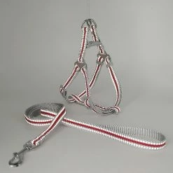 Unbranded Farfi Réglable Réfléchissant Pet Dog Harness Vest Leash Nylon Walking Traction Rope -Pet Soin 814253521 max