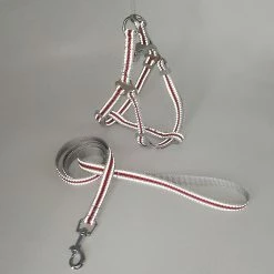 Unbranded Farfi Réglable Réfléchissant Pet Dog Harness Vest Leash Nylon Walking Traction Rope -Pet Soin 814253721 max