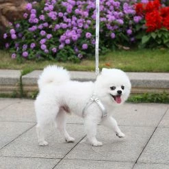 Unbranded Farfi Traction Rope Réglable Résistant à L’usure Faux Cuir Pet Dog Chest Strap Pour La Marche -Pet Soin 814253915 max