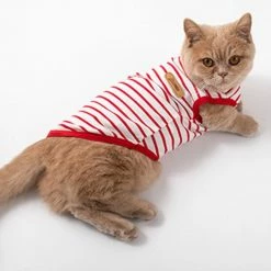 Unbranded Lovely Dog Vest Pour Small Medium Large Dogs Soft Sweatshirt Pour Pet Dog 8 Unbranded Lovely Dog Vest Pour Small Medium Large Dogs Soft Sweatshirt Pour Pet Dog -Pet Soin 837672569 max 3