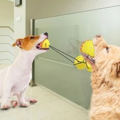 Unbranded Pet Dog Molar Toy Tug Rope Toothbrush Chewing Ball Suce Cup Detal Care Tooth Cleaning -Pet Soin 837673167 max