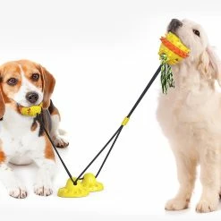 Unbranded Pet Dog Molar Toy Tug Rope Toothbrush Chewing Ball Suce Cup Detal Care Tooth Cleaning -Pet Soin 837673361 max 1