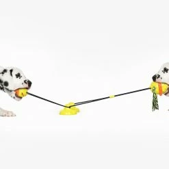 Unbranded Pet Dog Molar Toy Tug Rope Toothbrush Chewing Ball Suce Cup Detal Care Tooth Cleaning -Pet Soin 837673578 max