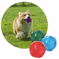 Unbranded Ball Dog Toy Squeak Interactive Chew Toys Pour Petits Chiens Nettoie Les Dents 7 Unbranded Ball Dog Toy Squeak Interactive Chew Toys Pour Petits Chiens Nettoie Les Dents -Pet Soin 837673624 max