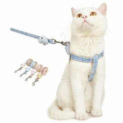 Unbranded Dog Collar Traction Rope Small Dog Teddy Retriever Pet Collar Attached Heart 9 Unbranded Dog Collar Traction Rope Small Dog Teddy Retriever Pet Collar Attached Heart -Pet Soin 837674048 max