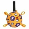 Unbranded Jouet De Ballon De Football Pour Chiots Dog Outdoor Training Interactive Pet Chew Dog Toy