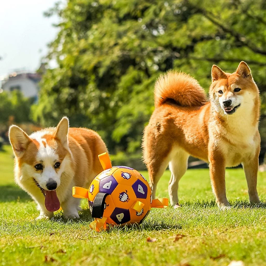 Unbranded Jouet De Ballon De Football Pour Chiots Dog Outdoor Training Interactive Pet Chew Dog Toy 2 Unbranded Jouet De Ballon De Football Pour Chiots Dog Outdoor Training Interactive Pet Chew Dog Toy – Image 2