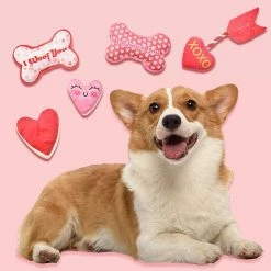 Unbranded Dog Toy Squeak Tug-of-war Interactive Training Toy Forme De Cœur / Os -Pet Soin 837676623 max