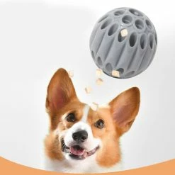 Unbranded Fuite Food Ball Dog Molar Ball Dog Toy Ball Treat Dispensing Dog Toy -Pet Soin 837676639 max 1