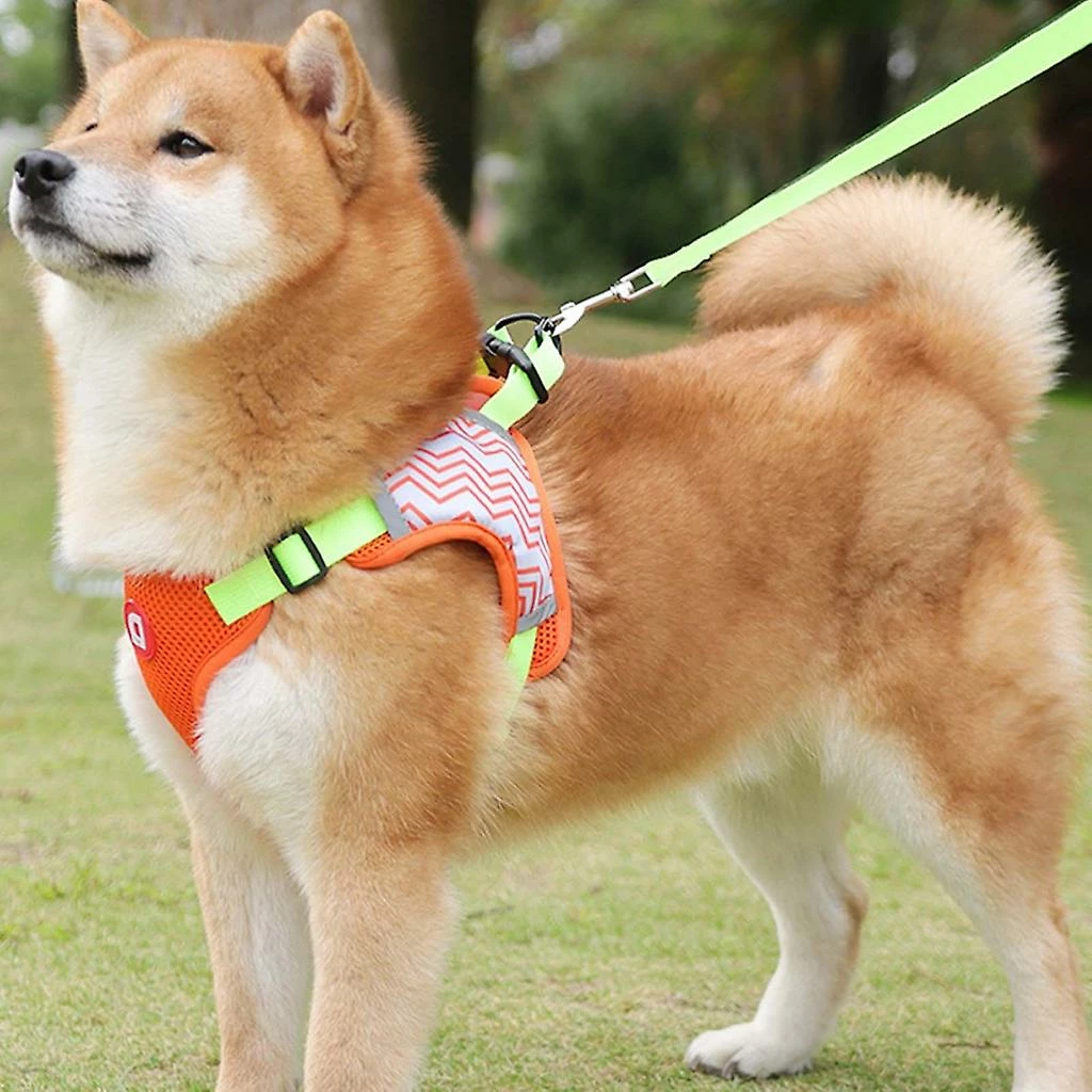 Unbranded Chiens Harnais Pet Chest Leash Dog Walking Running Rope Harness Dog Walking Gear 3 Unbranded Chiens Harnais Pet Chest Leash Dog Walking Running Rope Harness Dog Walking Gear – Image 3