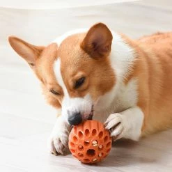 Unbranded Fuite Food Ball Dog Molar Ball Dog Toy Ball Treat Dispensing Dog Toy -Pet Soin 837676706 max 1