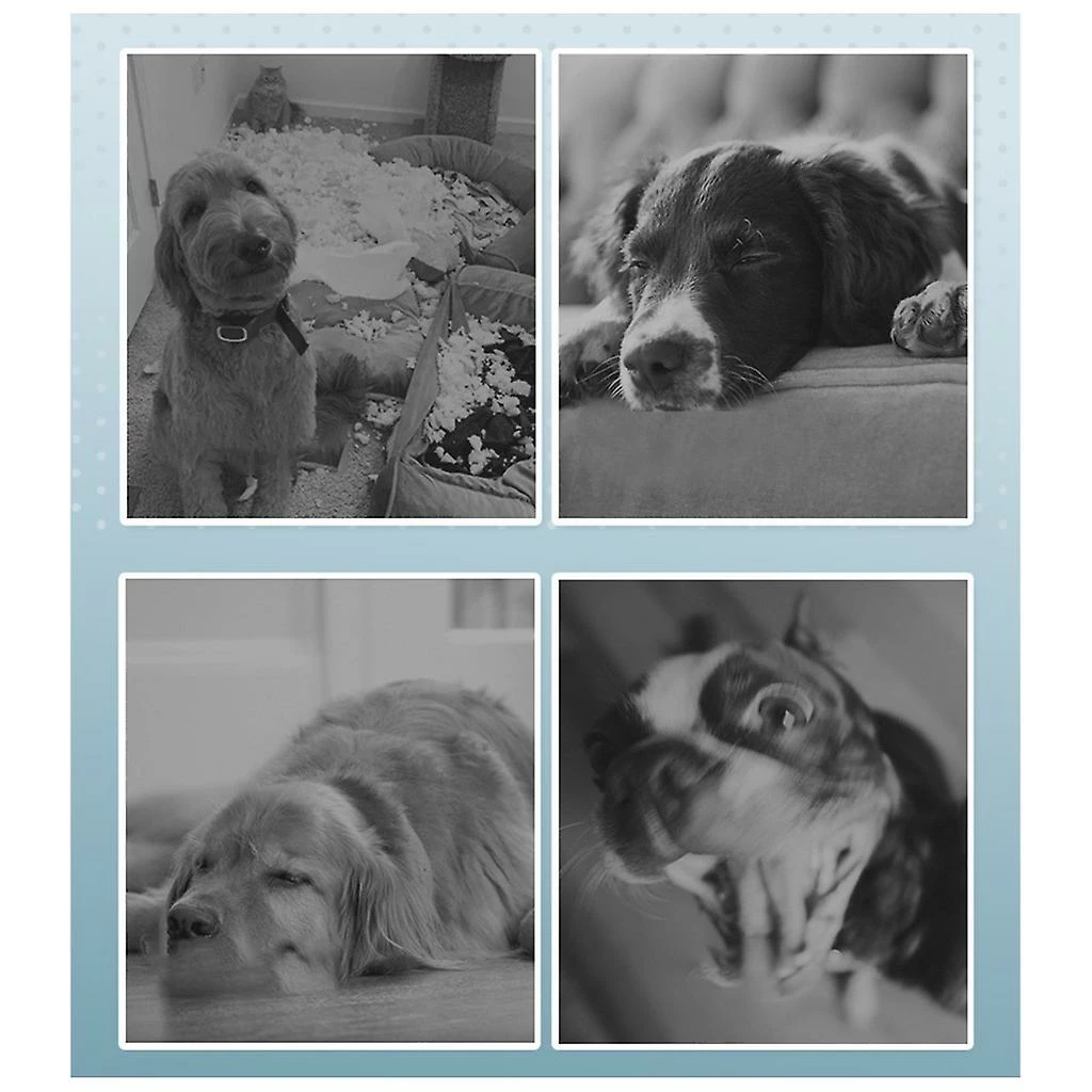 Unbranded Jouet De Ballon De Football Pour Chiots Dog Outdoor Training Interactive Pet Chew Dog Toy 5 Unbranded Jouet De Ballon De Football Pour Chiots Dog Outdoor Training Interactive Pet Chew Dog Toy – Image 5