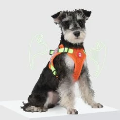 Unbranded Chiens Harnais Pet Chest Leash Dog Walking Running Rope Harness Dog Walking Gear 8 Unbranded Chiens Harnais Pet Chest Leash Dog Walking Running Rope Harness Dog Walking Gear -Pet Soin 837676747 max 1